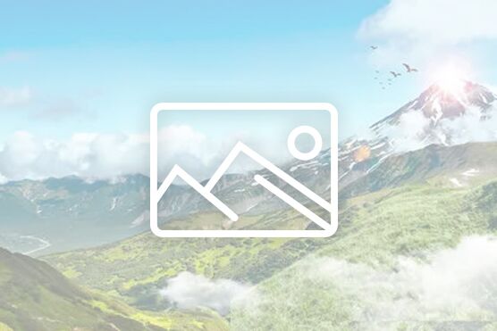 纽约电影学院专业速递丨三维动画与视觉特效